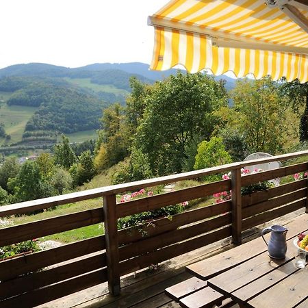 Chalet-Gite Berbuche Sainte-Croix-aux-Mines Exteriör bild