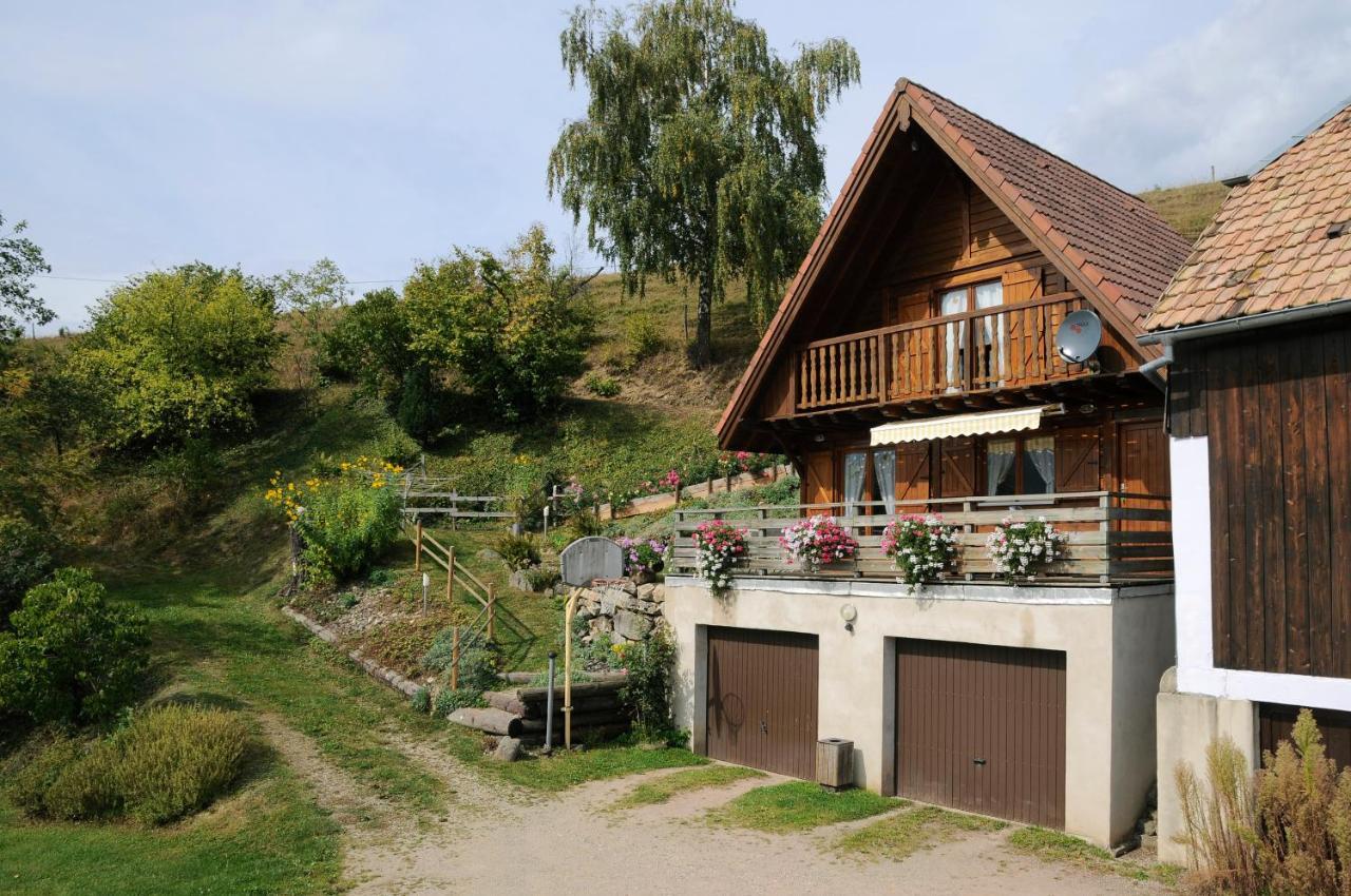 Chalet-Gite Berbuche Sainte-Croix-aux-Mines Exteriör bild