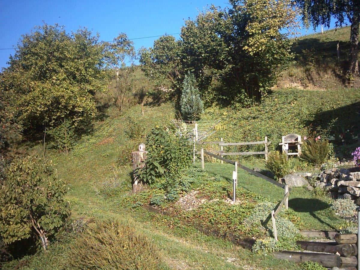 Chalet-Gite Berbuche Sainte-Croix-aux-Mines Exteriör bild